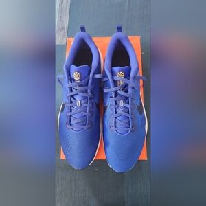 Nike Downshifter 12 – Racer Blue/Black/High Voltage (NWB)